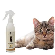 Shampoing Sec pour Chat Ligne 101 - Nettoyage Facile et Efficace