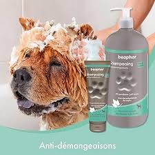 Shampoing Chien Anti Démangeaison Beaphar - Soulagement des Irritations