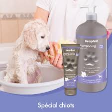 Shampoing Polyphénols Extraits Naturels pour Chiots - Douceur et Brillance