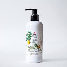 Shampoing Naturel Décollores : Écologique et Efficace