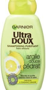 Garnier Shampooing Purifiant Cheveux Argile - Idéal pour les Cheveux Gras