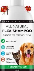 Shampoing Anti Puces Chien Healthy Dog Co - Protection Naturelle