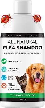 Shampoing Anti Puces Chien Healthy Dog Co - Protection Naturelle