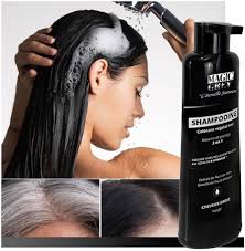 Shampoing Instantanée Coloration Capillaire Nourrissant - Noir Éclatant